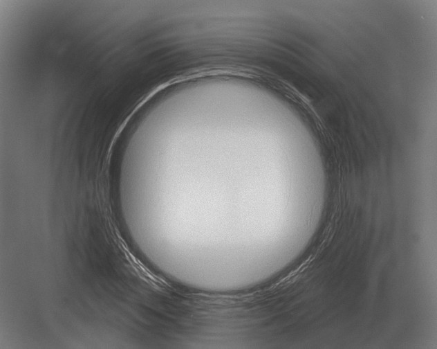 X0000082160828200702162232