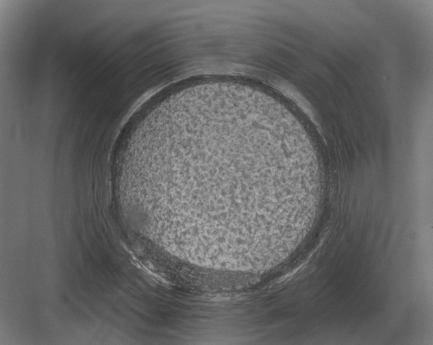 X0000082160829200702162232