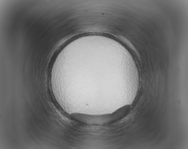 X0000082160831200702162232