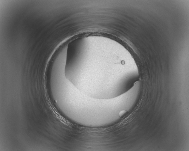 X0000082160832200702162232