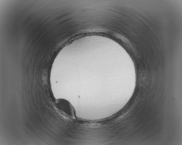 X0000082160833200702162232