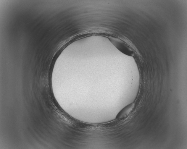 X0000082160834200702162232