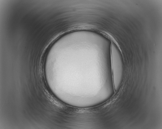 X0000082160835200702162232