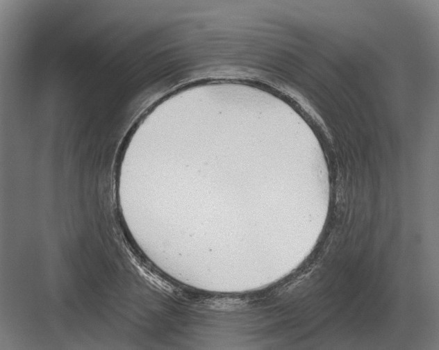 X0000082160837200702162232