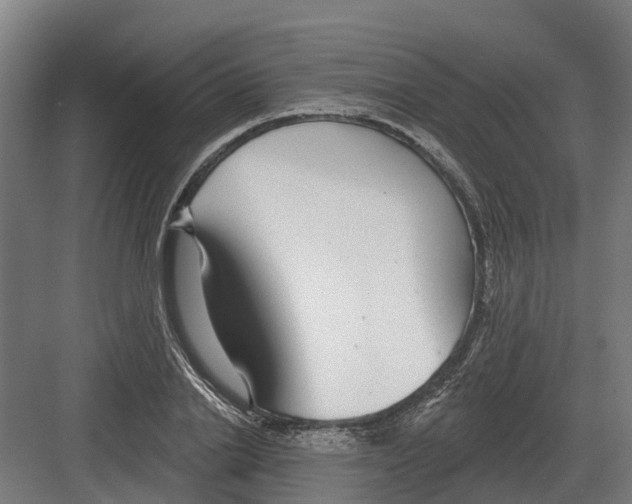 X0000082160838200702162232