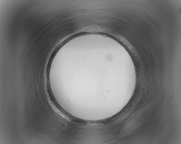 X0000082160840200702162232