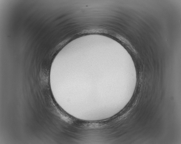 X0000082160841200702162232