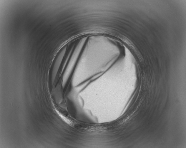 X0000082160842200702162232