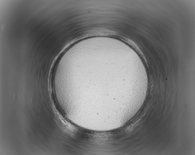 X0000082160843200702162232