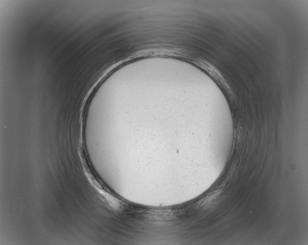 X0000082160844200702162232