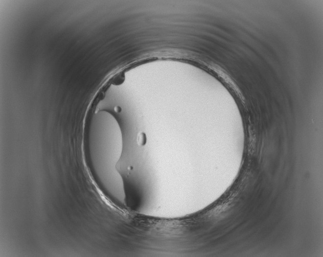 X0000082160845200702162232