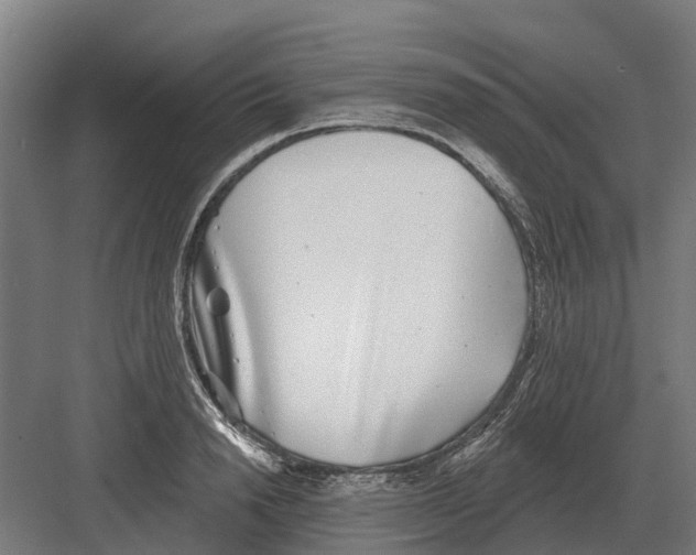 X0000082160846200702162232