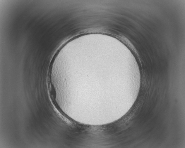 X0000082160847200702162232