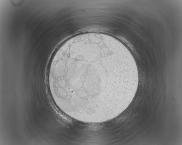 X0000082160848200702162232