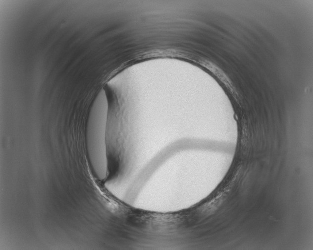 X0000082160849200702162232