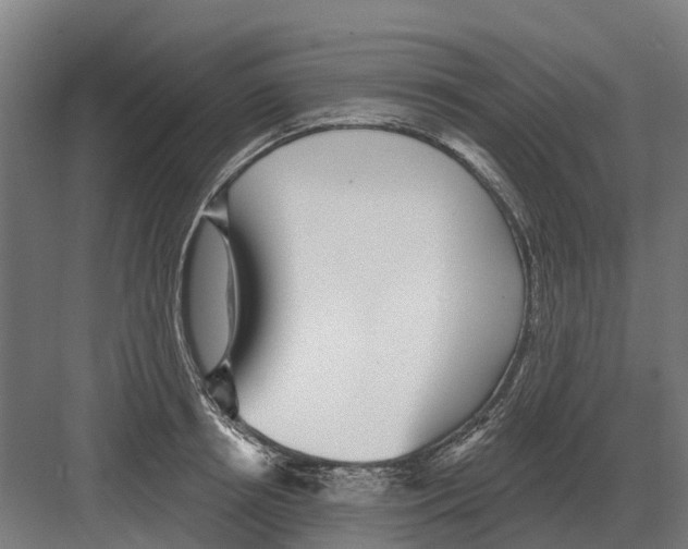 X0000082160850200702162232