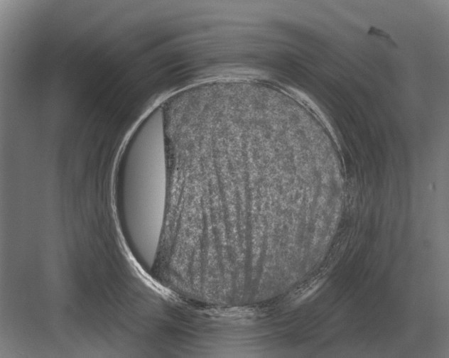 X0000082160851200702162232