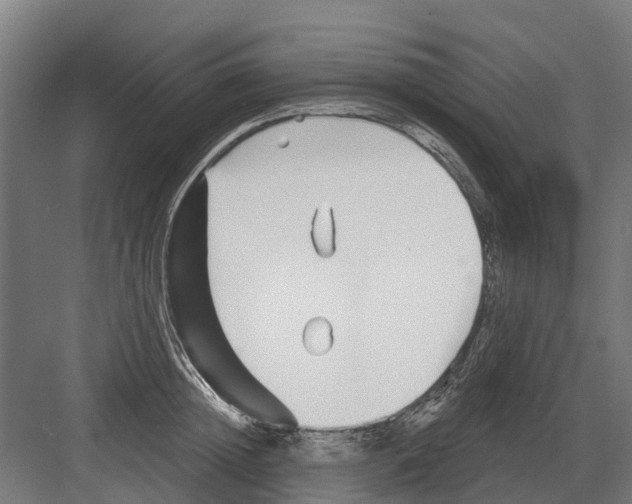 X0000082160852200702162232