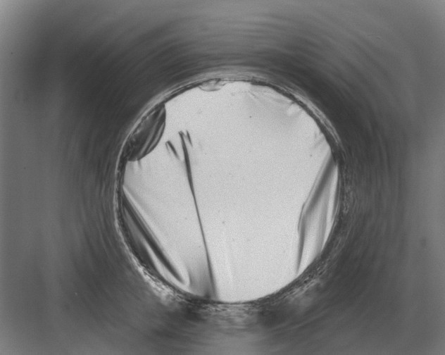 X0000082160853200702162232