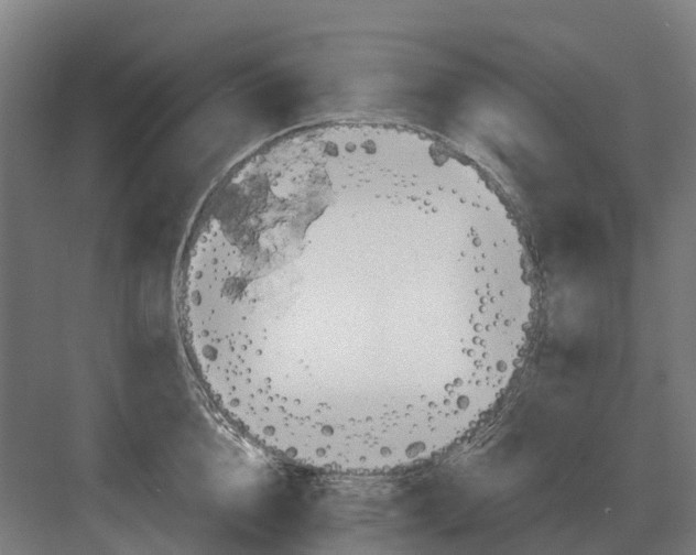 X0000082160856200702162232