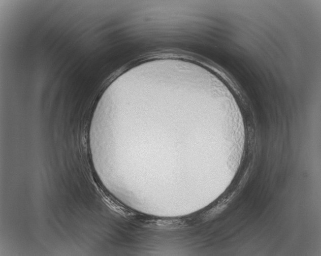 X0000082160857200702162232