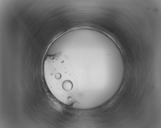 X0000082160858200702162232