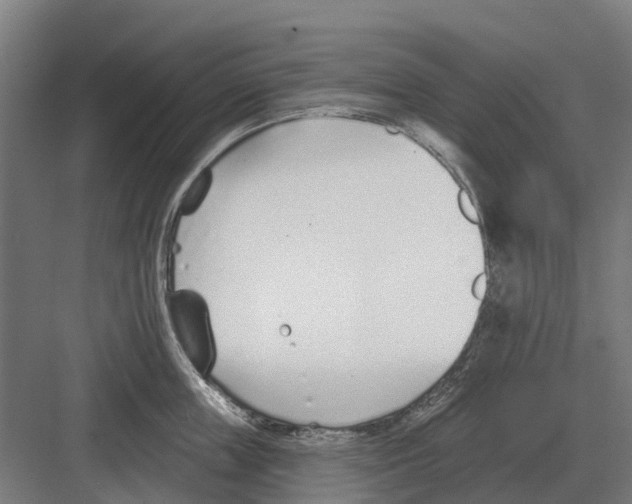 X0000082160859200702162232