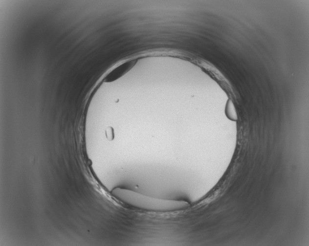 X0000082160860200702162232