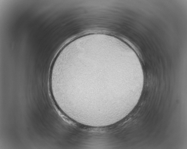 X0000082160861200702162232