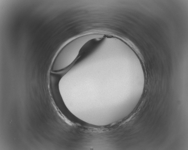 X0000082160862200702162233