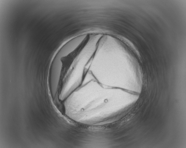 X0000082160863200702162233