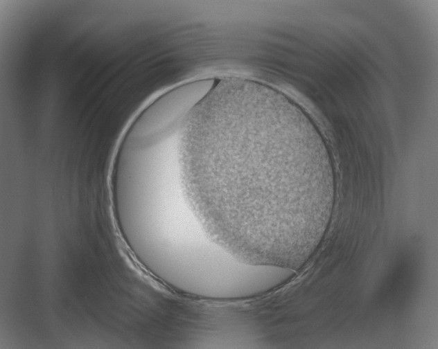 X0000082160864200702162233