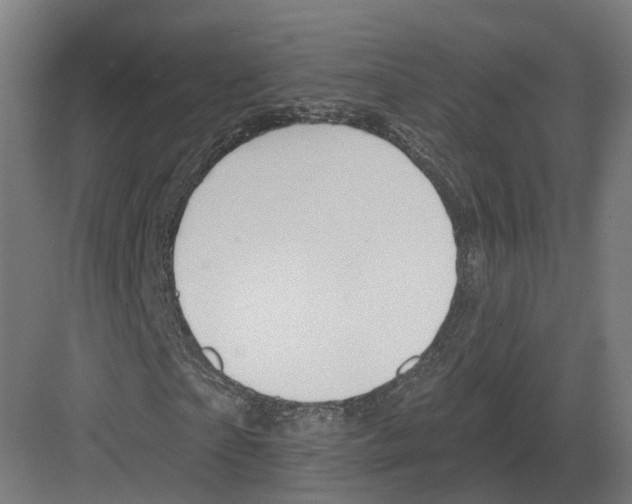 X0000082160865200702162232