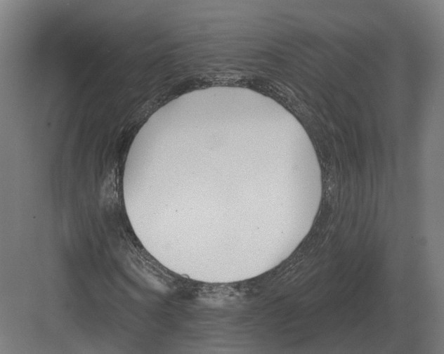 X0000082160866200702162232