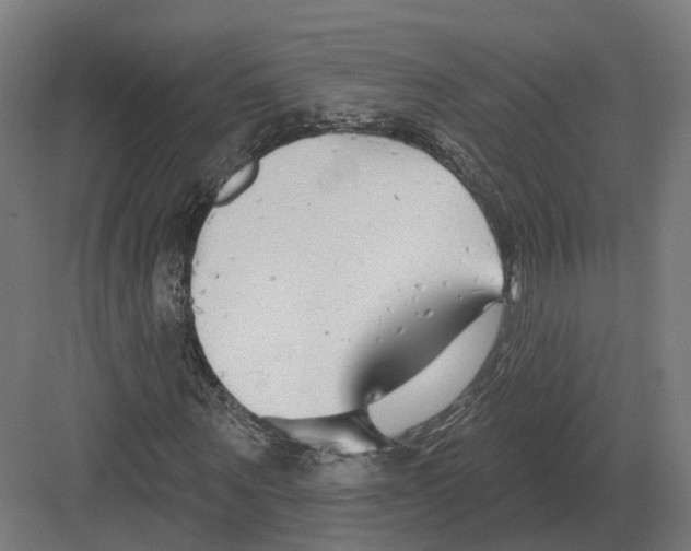 X0000082160867200702162232