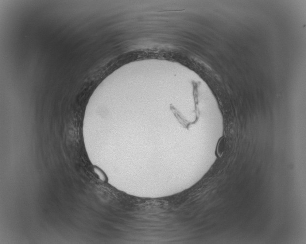 X0000082160869200702162232