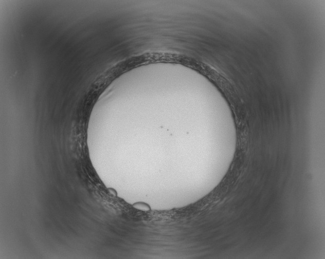 X0000082160870200702162232