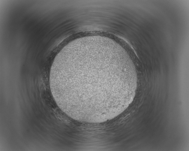 X0000082160871200702162232