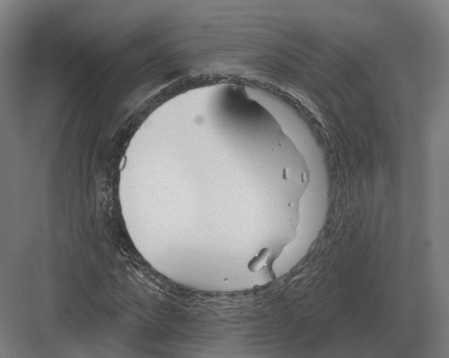 X0000082160872200702162232