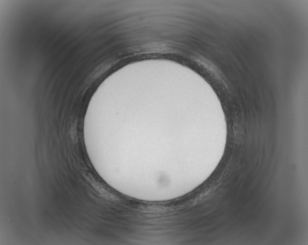 X0000082160873200702162232