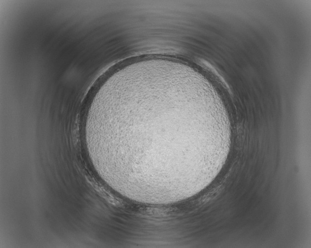 X0000082160875200702162232