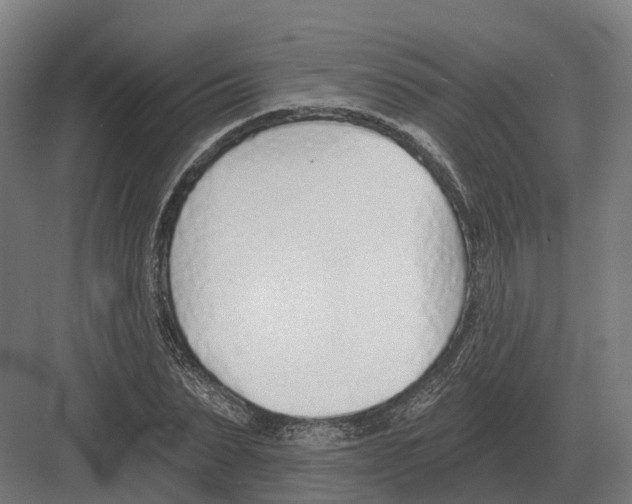 X0000082160879200702162232