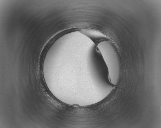 X0000082160880200702162231