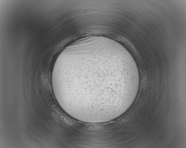 X0000082160882200702162231