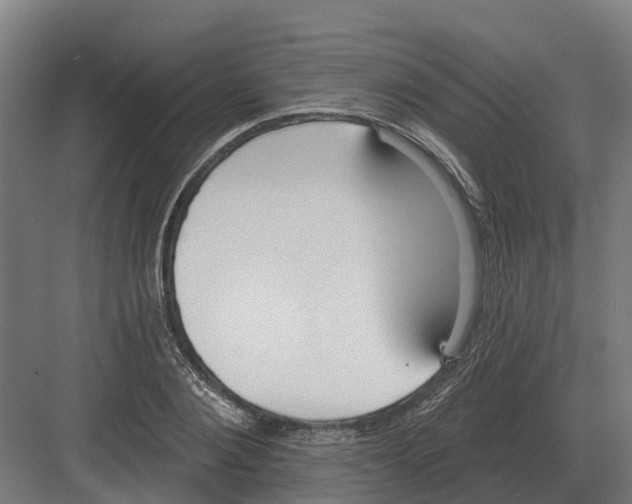 X0000082160884200702162231