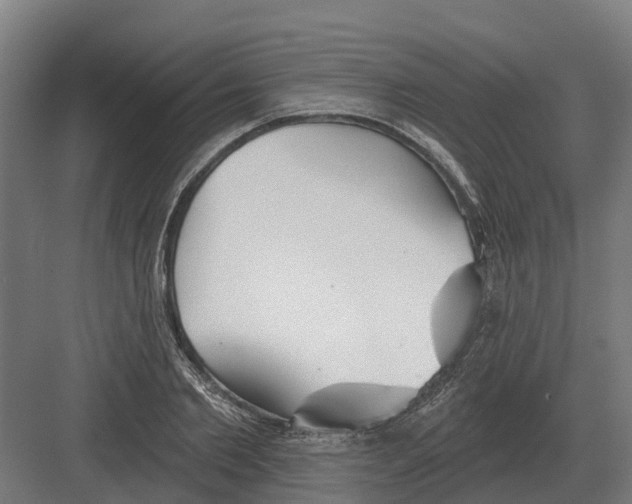 X0000082160885200702162231