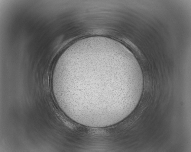 X0000082160886200702162231