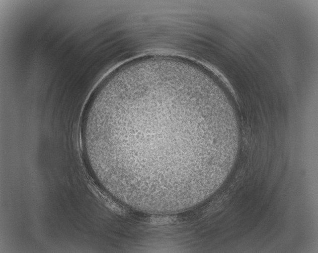 X0000082160887200702162231