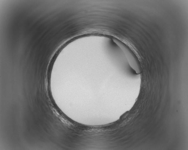 X0000082160888200702162231