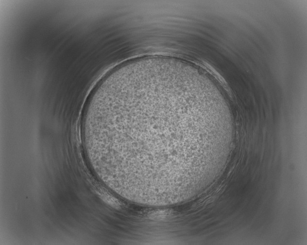 X0000082160891200702162231